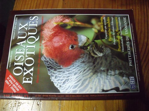 Revue des oiseaux - ?µ,