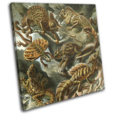 Floral Lizard Reptile Vintage