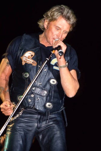 Johnny hallyday concert - johnny,