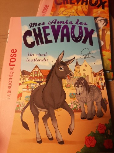 Mes amis les chevaux - amis,