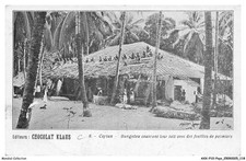 AXXP10-1039-SRI-LANKA - CEYLAN - Bungalow couvrant leur toit avec des feuilles