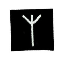 Patch ecusson brode thermocollant viking odin sorcellerie rune alphabet elk 