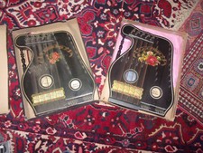 Coppia strumenti musicali