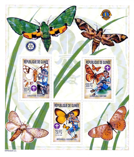 Stamps guinea 2002 perf - perf., boy