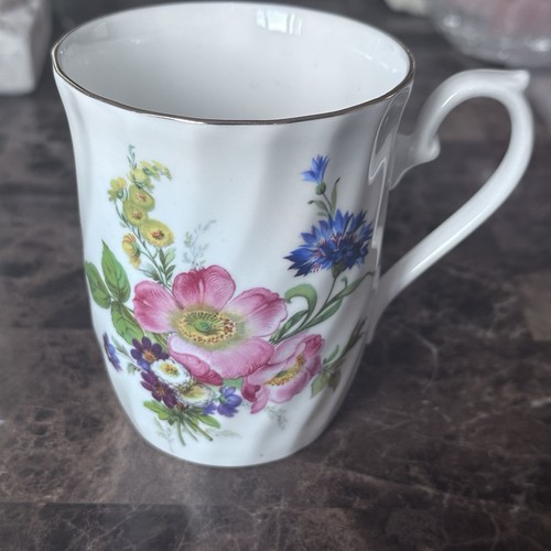 Royal sutherland fine bone - fine,