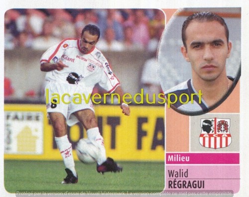 005 walid regragui - 005, #