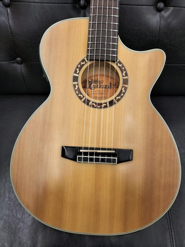 Guitare acoustique électrique