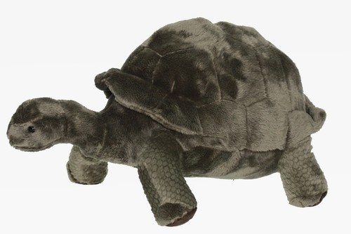 Peluche méga terre tortue - méga,