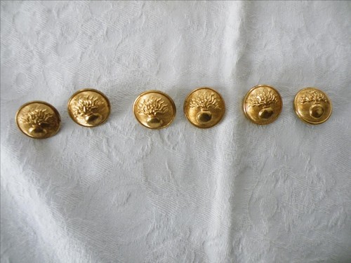 Lot boutons dorés - 6,