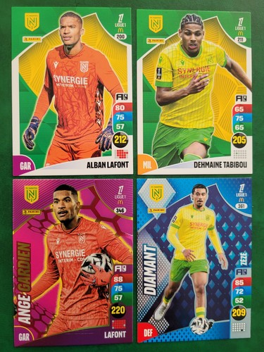 Lot cartes panini - lot,