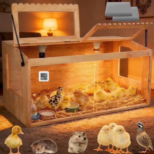 Jogepeyo chicken brooder - jogepeyo,