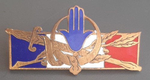 Insigne variante forces - insigne,