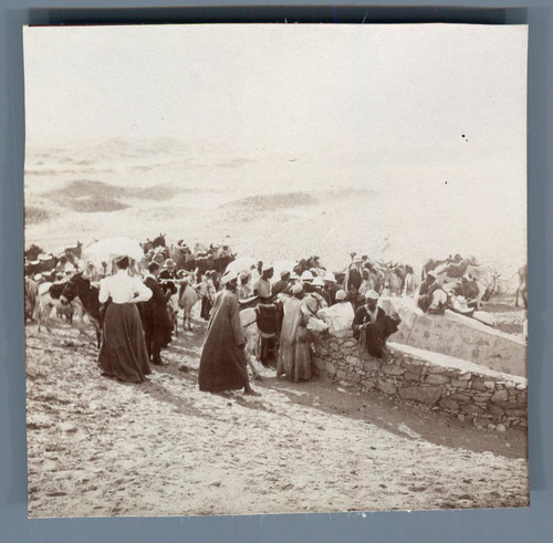 Egypte dendérah - dendérah, (دندرة)