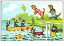 CHATS.TU PEUX TOUJOURS COURIR