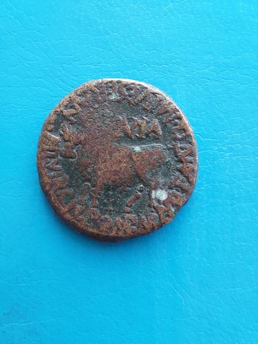 Tibère tiberius taureau - tibère,