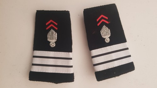 Paire epaulettes fourreaux - paire, d'epaulettes