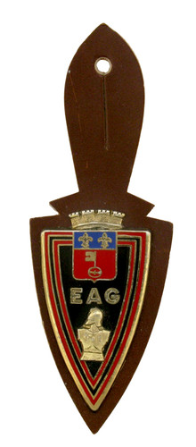 Insigne militaire military - insigne,