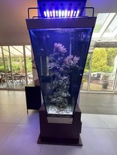 aquarium eau de mer tout équipé