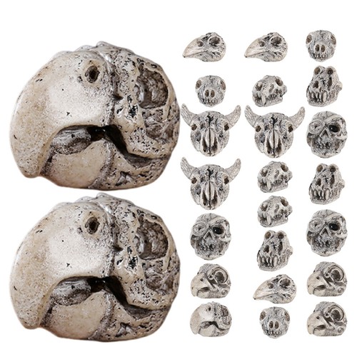 Figurines squelettes - figurines, de
