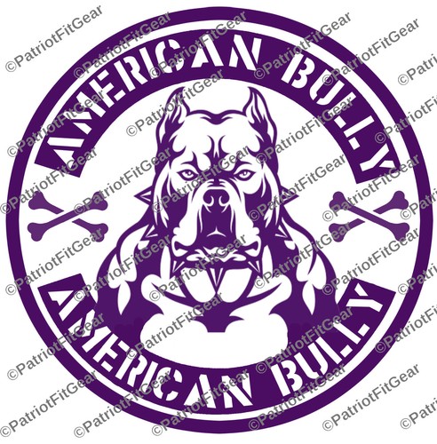 American bully pit - american, bull