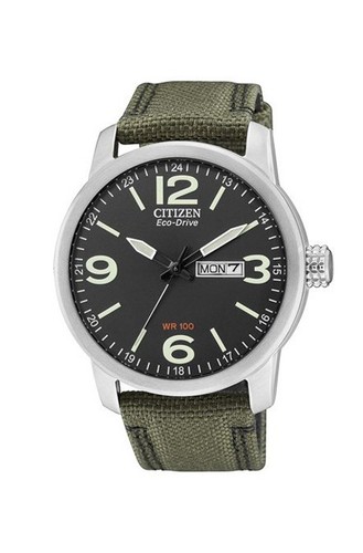 Montre pour homme citizen - pour,