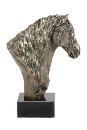 Poney frison tête cheval - tête,