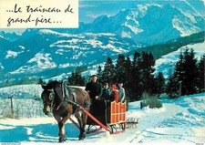 Animaux - Chevaux - Traineau - Etat Coin supérieur droit plié - CPM - Voir Scans