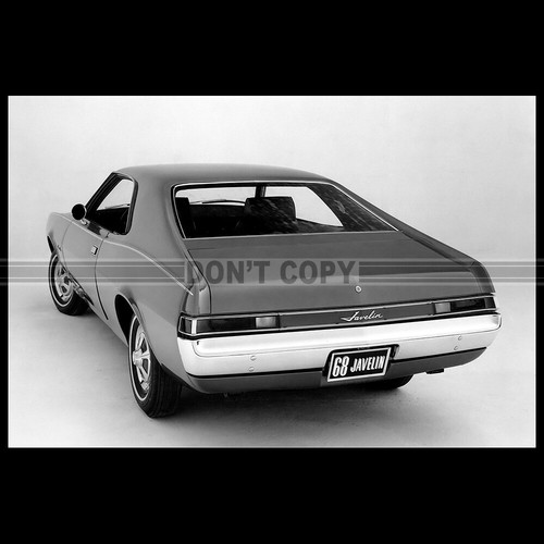 Photo 002606 amc - photo,