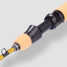 Canne à pêche sur glace