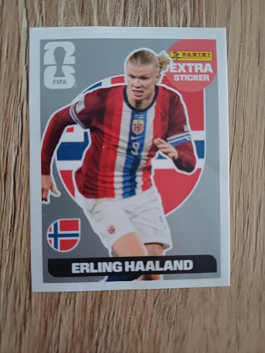 Vignette panini erling haaland - vignette,
