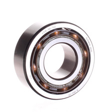 FAG/Schaeffler Technologies