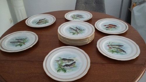 Anciennes assiettes limoges - 12,