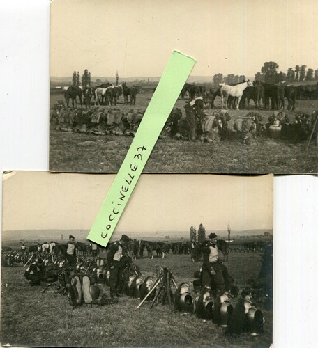 Militaire carte photo lot 2 - photo,