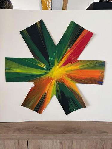 Damien hirst spin - hirst,