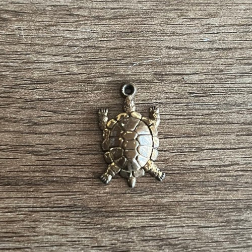 Médaille pendentif n145 - pendentif,