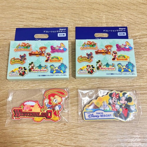 Tokyo disneyland magnet - tokyo,
