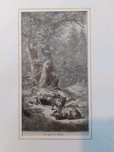 Gravure ancienne chasse - chasse, aux
