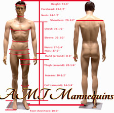 Full body male skin tone