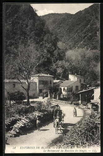 Cpa les gorges chiffa - cpa, de