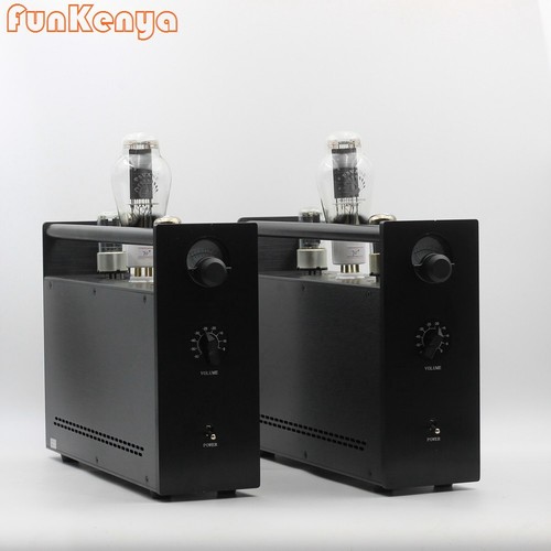 One pair 300b - pair, vacuum