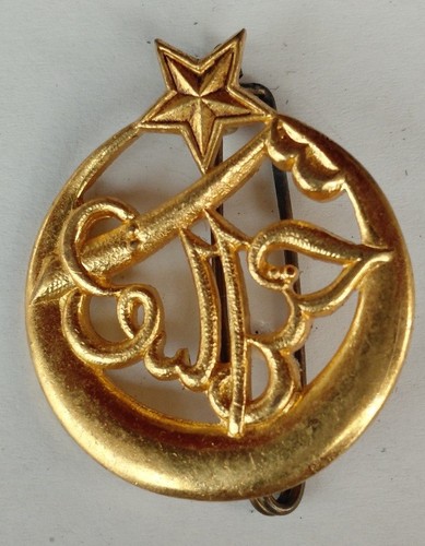Insigne régiment de - insigne, 3°