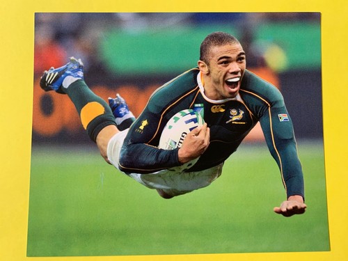 Rugby union star rookie card - star,