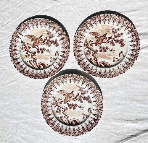 Lot assiettes à - lot,