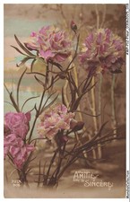 AWPP12-0732-FLEUR - Oeillet - Amitié sincere