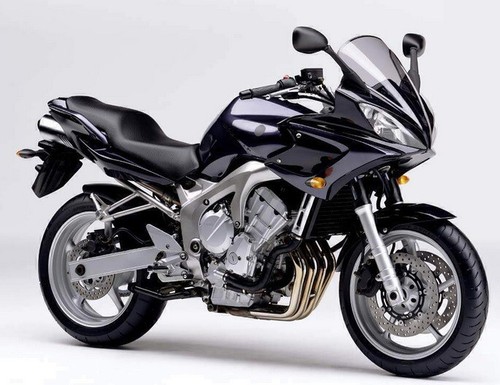 Stickers for fz6 600 - for,
