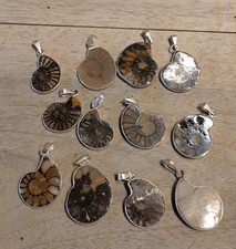 Pendentif ammonite fossile
