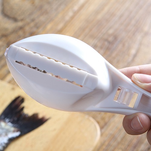 Brosse grattoir écailles - brosse,