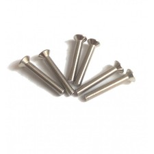 6 Vis Nickel 3x20mm format métrique pour micros style Strat