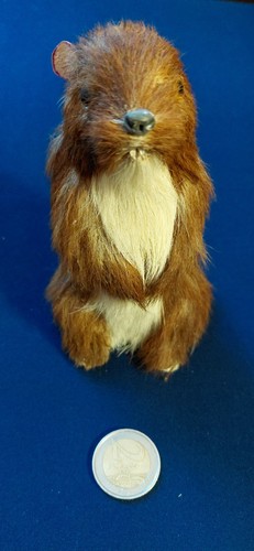 Imitation marmotte - imitation,