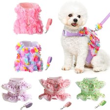 Ensemble Harnais Et Laisse Pour Chien Motif Floral Mignon Pour Chiot Chat /